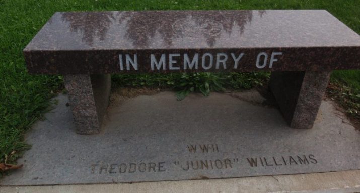 Williams, Theodore Junior